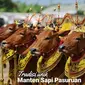 Acara manten sapi saat Idul Adha di Pasuruan, Jawa Timur (Dok.Instagram/@yoiki_pasuruan/https://www.instagram.com/p/BmvZx5tlvPw/Komarudin)