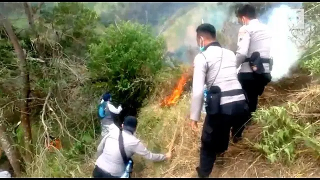 kebakaran di Gunung Sumbing dan Sindoro telah meluas hingga ke Wonosobo. Upaya pemadaman terus dilakukan petugas TNI, Polri, dan BPBD.