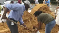 Warga Florida sedang bahu-bahu mengisi kantung pasir untuk menghadapi terjangan badai Michael pada pertengahan pekan ini. (AP/Gary Fineout)