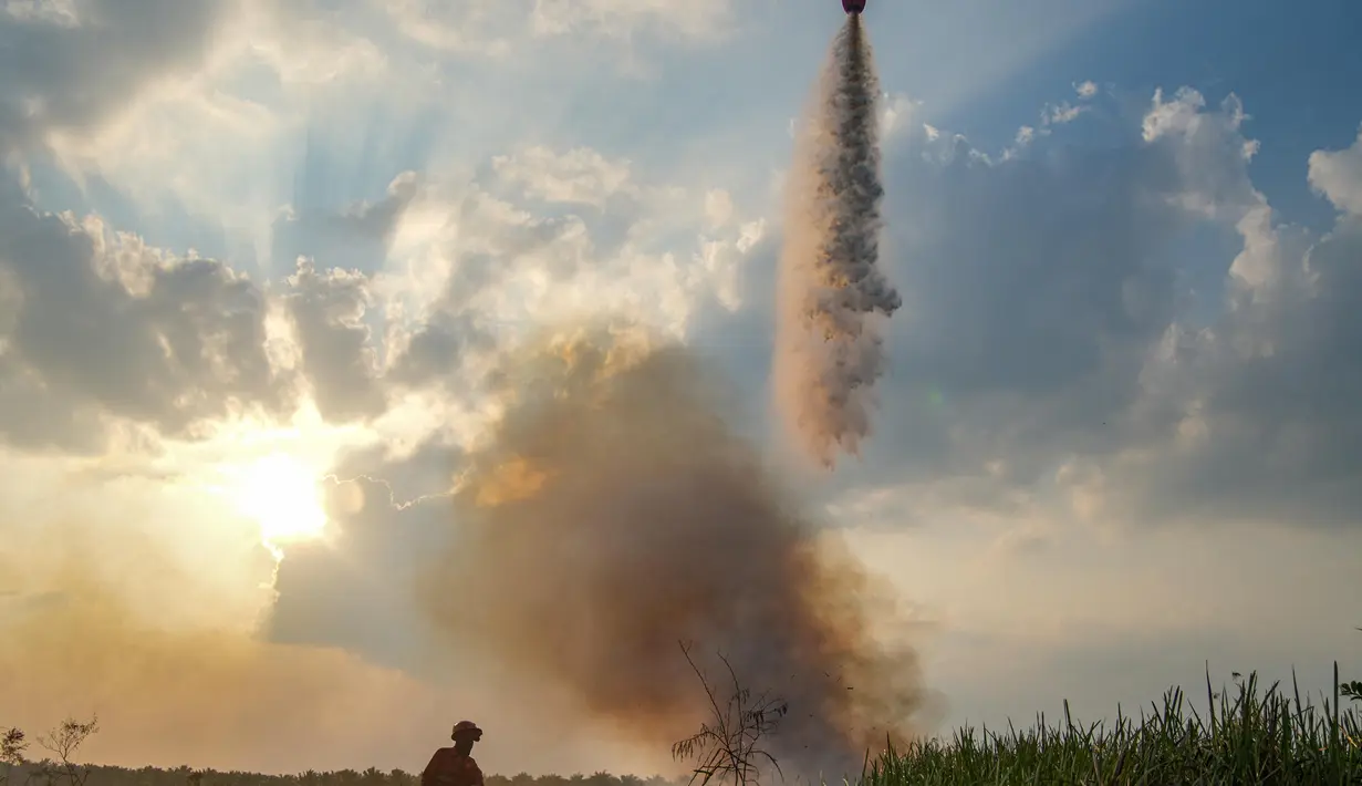 Sedikitnya empat kabupaten terdampak, yakni Ogan Komering Ilir (OKI), Muara Enim, Banyuasin, dan Ogan Ilir. (AL ZULKIFLI/AFP)
