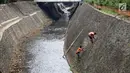 Petugas UPK Badan Air Dinas Kebersihan DKI Jakarta memanjat dinding kali membersihkan rumput liar di sepanjang turap Kali Baru, Jakarta, Selasa (18/7). (Liputan6.com/Immanuel Antonius)