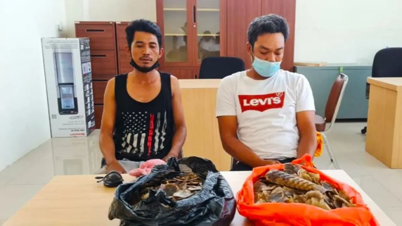 Dua tersangka penjual sisik trenggiling saat diperiksa penyidik Reskrimsus Polda Riau.