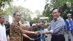 Direktur SCM Imam Sudjarwo menyerahkan 1 ekor sapi ke perwakilan RT 05 Tanjung Duren saat penyerahan hewan kurban 1439 H, Jakarta, Kamis (16/8). SCM membagikan hewan kurban sebanyak 5 sapi dan 45 kambing. (Liputan6.com/Herman Zakharia)