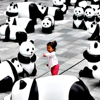 Jangan ngaku pecinta panda kalau kamu belum memiliki ke-15 benda yang super lucu berikut ini. (Foto: blogs.ft.com)