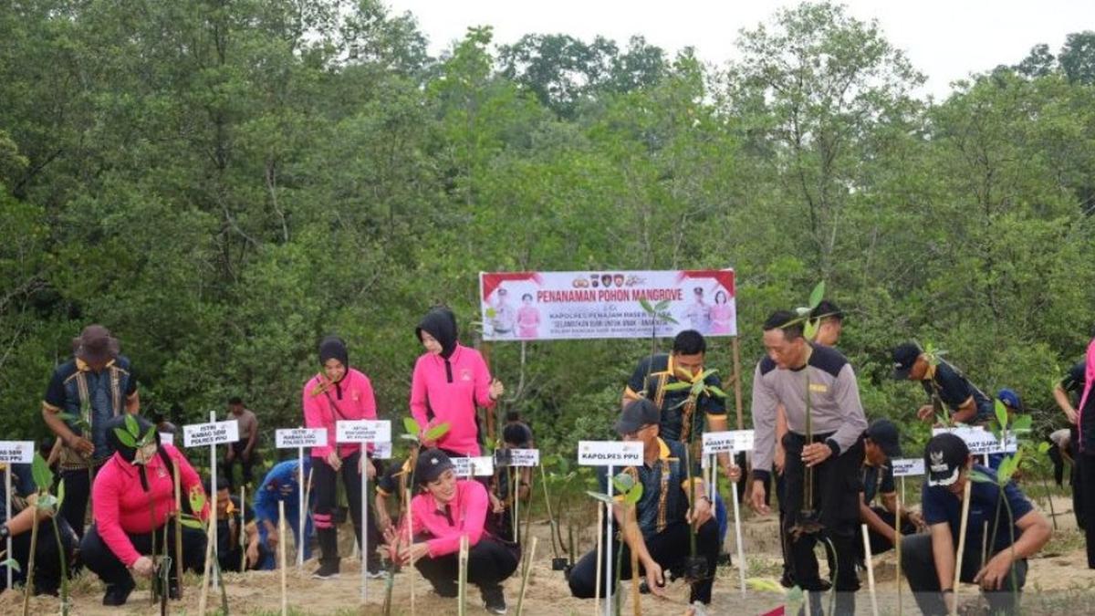 Polres PPU Tanam 1.000 Mangrove di Pantai Nipah-Nipah untuk Cegah Abrasi