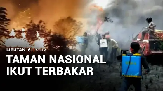 Taman Nasional Ikut Terbakar