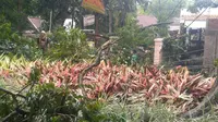 Saat terjadi hujan es, kecepatan angin di Kota Bandung mencapai 40 kilometer per jam sehingga banyak pohon bertumbangan. (Liputan6.com/Arie Nugraha)