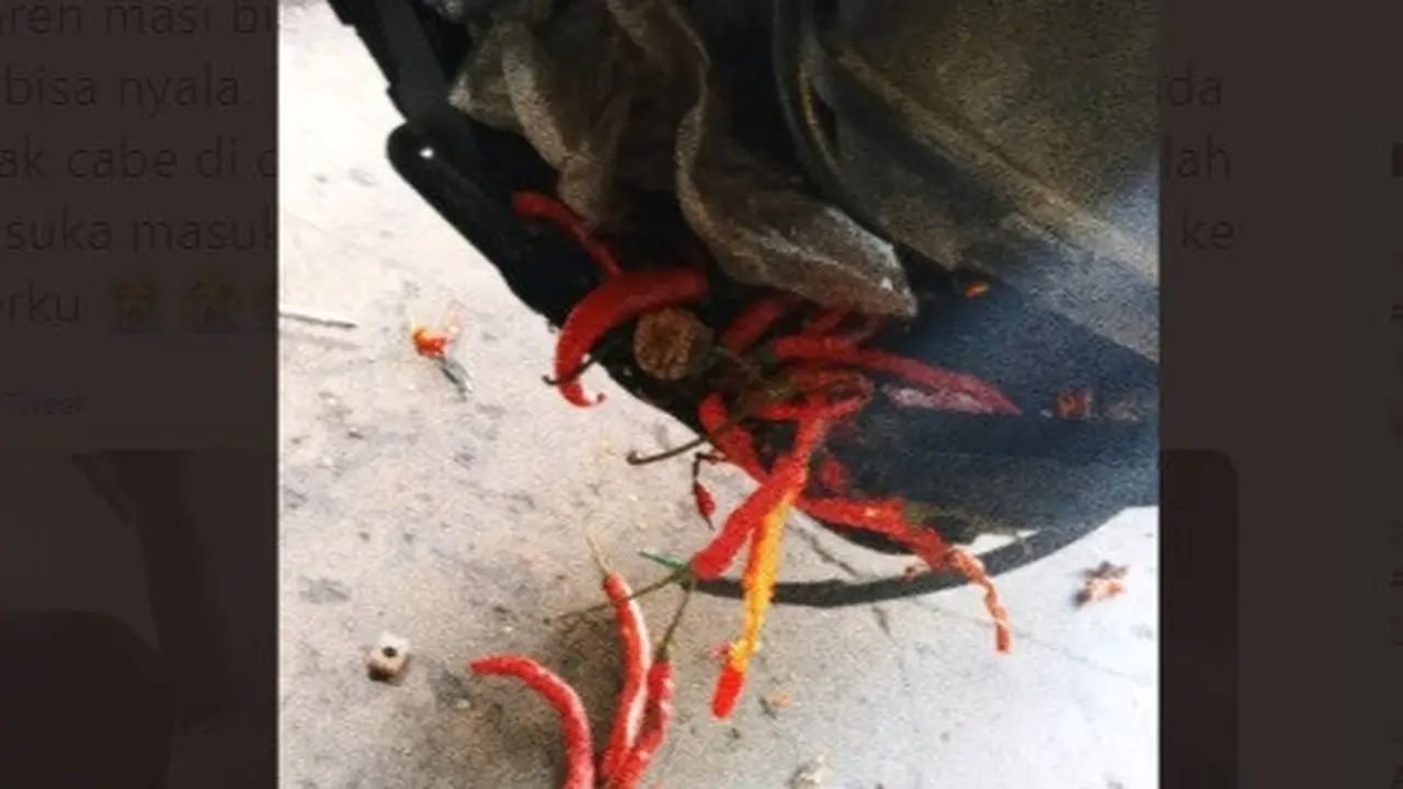 motor mogok karena ulah tikus