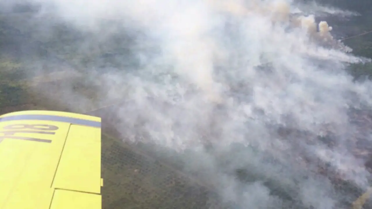 91 Ribu Warga Riau Korban Bencana Kabut Asap 2015 Gigit Jari