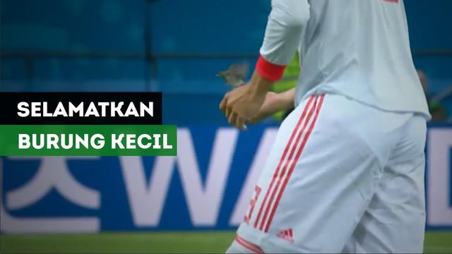 Momen lucu terjadi saat Spanyol hadapi Iran, Gerard Pique dan Isco menyelamatkan seekor burung di tengah pertandingan.