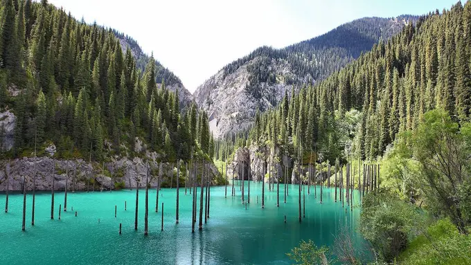 Pesona dan Kepingan Misteri di Hutan Tenggelam