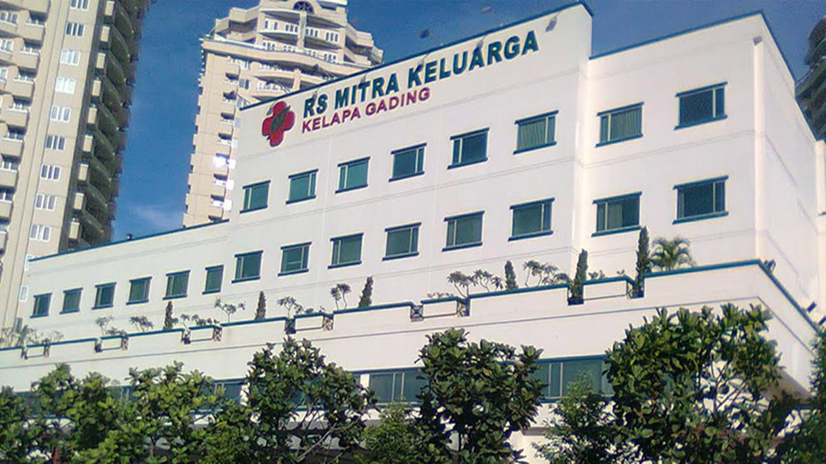 Logo Lamar Langsung - Platform Lowongan Kerja