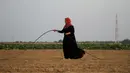 Seorang wanita Palestina bekerja di pertanian dekat perbatasan antara Jalur Gaza dan Israel, sebelah timur Kota Khan Younis, Jalur Gaza selatan, 28 Oktober 2020. Langkah Israel memberlakukan zona penyangga keamanan merugikan sektor pertanian Gaza. (Xinhua/Rizek Abdeljawad)