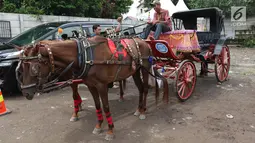 Kereta kencana yang akan digunakan dalam pernikahan Kahiyang Ayu dan Bobby Nasution tiba di Graha Saba, Solo, Selasa (7/11). Jelang pernikahan putri Presiden Jokowi,  kereta kencana disiapkan untuk mengantar Kahiyang dan Bobby. (Liputan6.com/Angga Yuniar)
