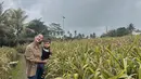 Cuaca yang sejuk dan panorama indah membuat Paula dan anak merasa betah [Instagram/paula_verhoeven]