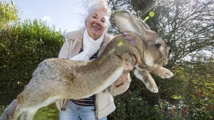 Photo: Copyright metro.co.uk