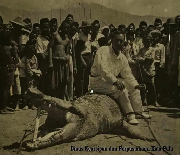 Akun Tati Tahir di Facebook yang mengunggah dua foto serta kisah penangkapan buaya berjuluk La Goroba, penghuni muara sungai di Palu, tahun 1935. (Foto: Istimewa/Facebook/Dinas Kearsipan dan Perpustakaan Kota Palu/Liputan6.com/Apriawan)