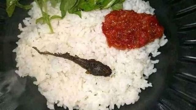 6 Menu Makan Lele Ini Tidak Biasa, Bikin Terkejut