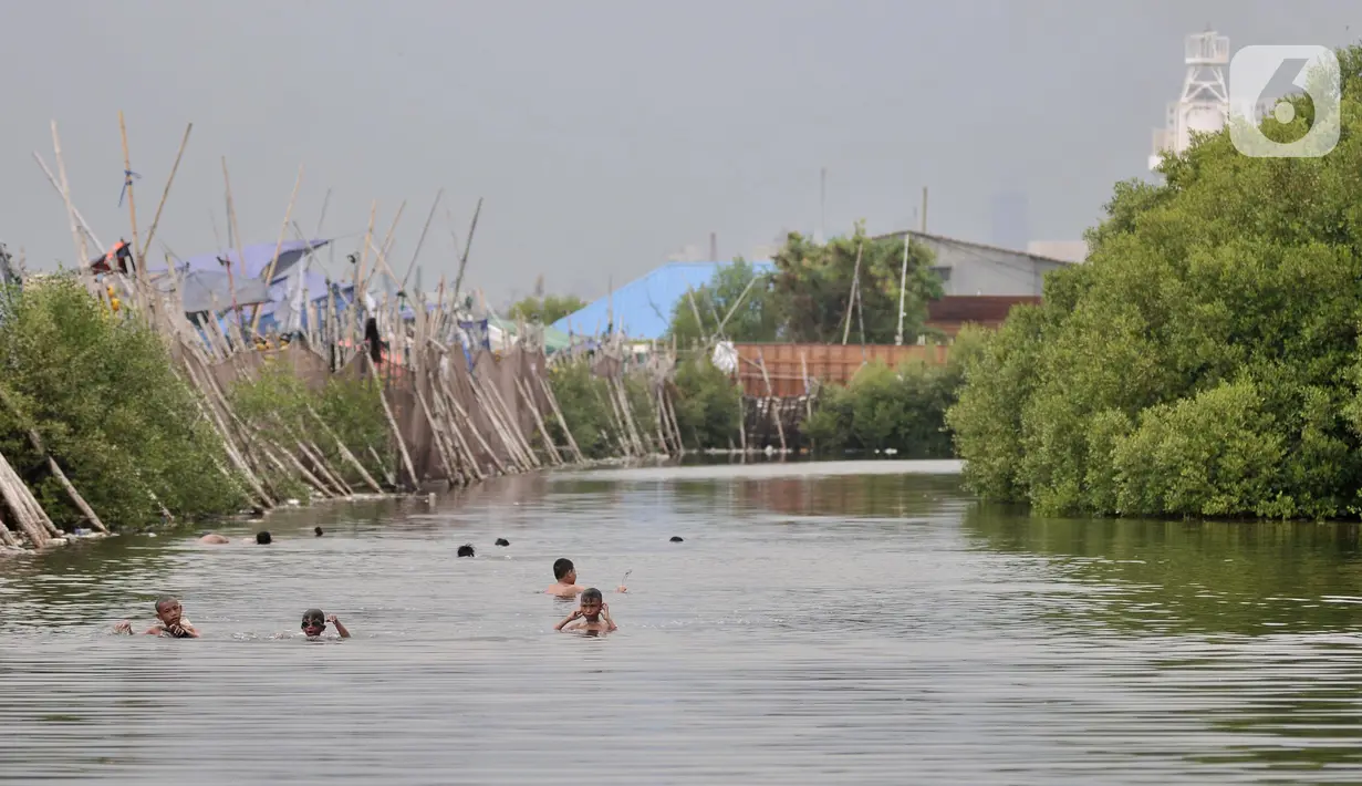 Anak-anak berenang di rawa pesisir Muara Baru, Cilincing, Jakarta, Minggu (15/8/2021). Anak-anak setempat memanfaatkan rawa sebagai wahana berenang akibat keterbatasan lahan bermain di wilayah pesisir tersebut. (merdeka.com/Iqbal S Nugroho)