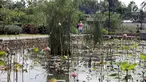 Warga berjalan-jalan di kawasan Taman Piknik, Jakarta, Minggu (20/1). Taman seluas 1 hektar di Jalan Manunggal II, Cipinang Melayu, Jakarta Timur ini menjadi salah satu taman baru milik Pemprov DKI Jakarta untuk warga. (Liputan6.com/Helmi Fithriansyah)