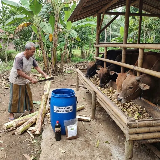 Pakan Alternatif yang Sering Dipakai Peternak Skala Rumah