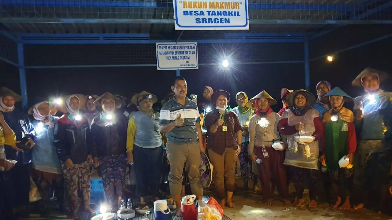 Petani wanita  di Desa Tangkil Sragen sudah selama tiga tahun ini menanam padi di malam hari. (Dok Kementan)