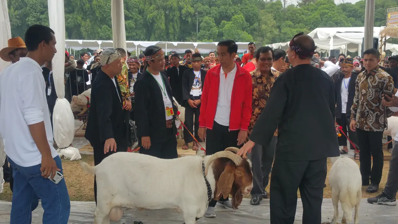 jokowi