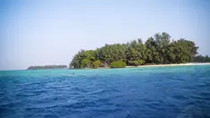 (Liputan6.com)