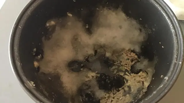 6 Momen Apes Sebelum Masak Nasi Ini Bikin Elus Dada, Ada Saja Masalahnya
