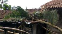 Angin kencang disertai hujan deras menerjang Desa Klapagading, Wangon, Banyumas dan menyebabkan pohon bertumbangan. Beberapa di antaranya menimpa rumah penduduk. (Foto: Liputan6.com/Coki S)