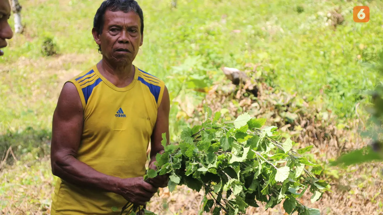 Ramli Sunggungi atau Kawali Ramu Petani Nilam di Bone Bolango