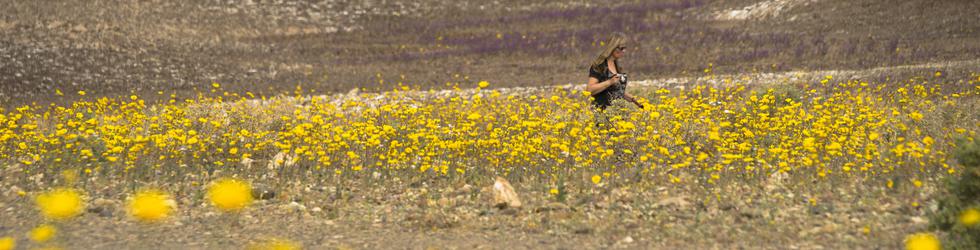 Satria Yudha Baskara