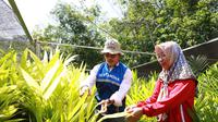 Pertamina EP Pendopo Field dan kelompok mitra binaan menggunakan ekstrak buah pinang sebagai korosi inhibitor dan mendorong ekspor pinang. (Dok PEP)