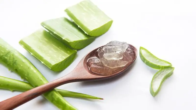 12 Manfaat Aloe Vera Untuk Wajah, Atasi Jerawat dan Mencerahkan Kulit