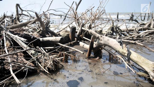 Tumpahan Minyak Pertamina Cemari Perairan Muara Gembong
