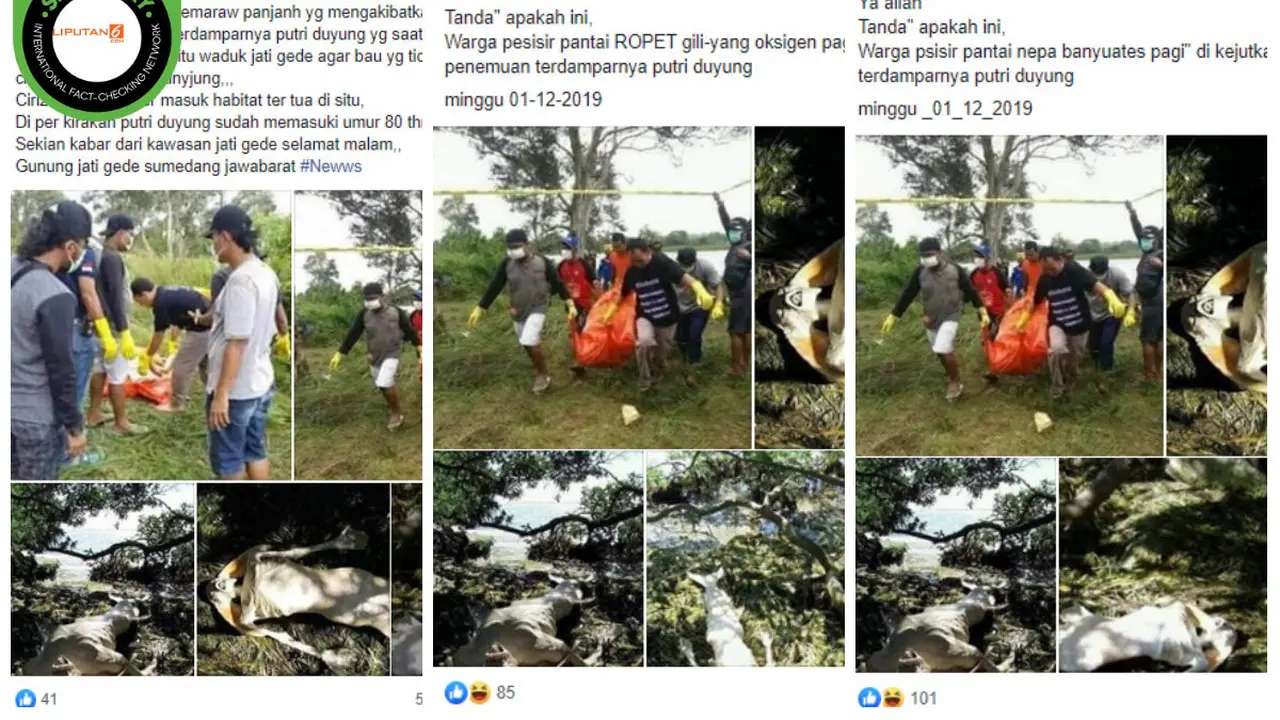 [Cek Fakta] Putri Duyung Ditemukan di Pesisir Nepa Banyuates?