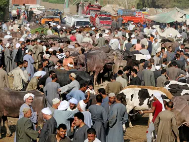 Suasana di pasar ternak untuk hewan kurban menjelang perayaan Idul Adha di Desa Al Manashi di Giza, Kairo, Mesir, Rabu (7/9). (REUTERS/Mohamed Abd El Ghany)