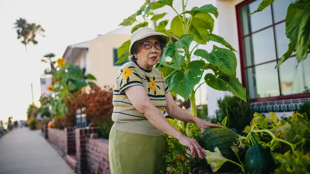Mendorong Makan Sehat dan Kualitas Tidur