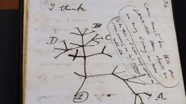 Buku Catatan Teori Evolusi Darwin