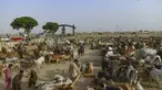 Pemandangan umum pasar ternak menjelang festival Muslim Idul Adha, di pinggiran Karachi pada 19 Juni 2023. (AFP/Asif Hassan)