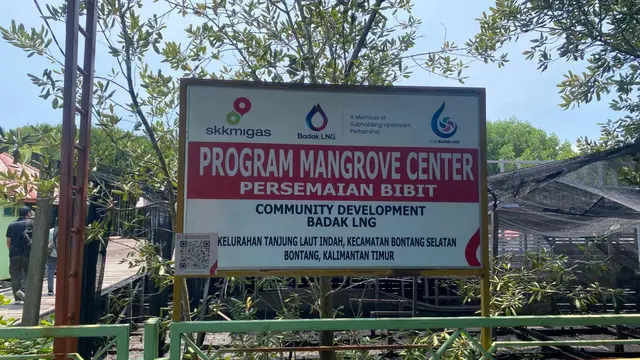 Cerita Ali yang kini menjadi CSR PT Badak NGL atau Badak LNG mendirikan pusat konservasi dan wisata mangrove di Bontang, Kalimantan Timur.