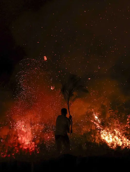 Diketahui, ada tiga kebakaran hutan besar di bagian tengah dan utara Portugal. Kebakaran tersebut terjadi sejak Sabtu (9/8/2025) lalu. (PATRICIA DE MELO MOREIRA/AFP)
