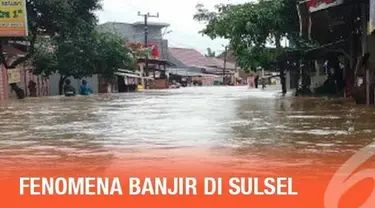 Menurut BMKG banjir yang terjadi di Sulawesi Selatan adalah akibat hujan lokal yang cukup lebat.