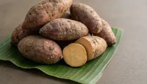 Cara Menanam Ubi Cilembu agar Umbinya Besar, Manis, dan Panen Melimpah