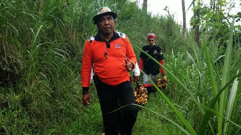 Monyet Gunung Agung