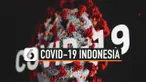 THUMBNAIL CORONA