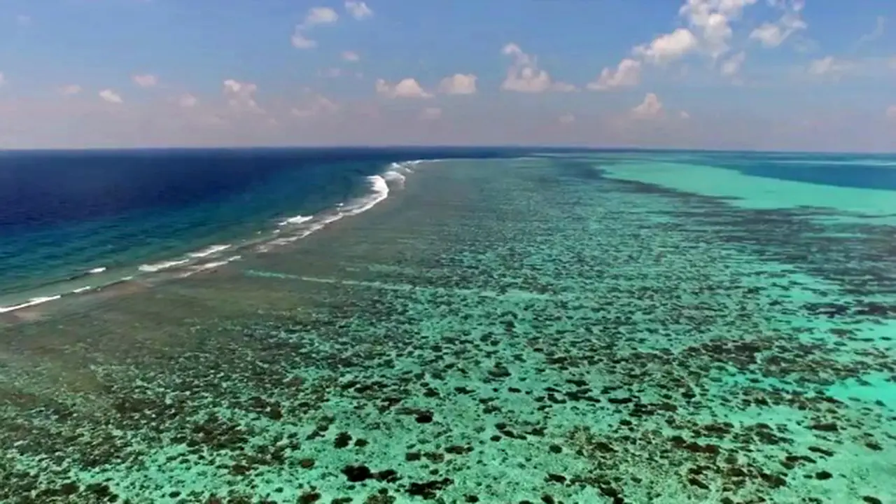Google Street Merambah Dunia Bawah Air 