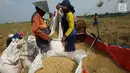 Petani memasukan gabah padi jenis Jarong (unggulan) ke dalam karung di Kawasan Bekasi-Jakarta, Selasa (2/7/2019). Hasil panen padi kali ini para petani kurang memuaskan akibat cuaca yang tidak menentu dan serangan hama. (merdeka.com/Imam Buhori)