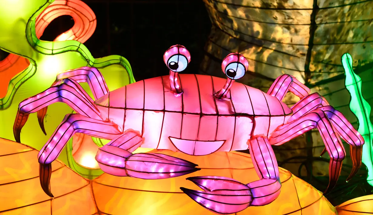 Gambar pada 15 November 2019 menunjukkan patung kepiting diterangi lampu berwarna sebagai bagian dari pameran festival cahaya di Kebun Binatang Jardin des Plantes, Paris. Festival Cahaya bertajuk "Ocean en voie d'illumination" ini digelar dari 18 November 2019 - 19 Januari 2020. (BERTRAND GUAY/AFP)