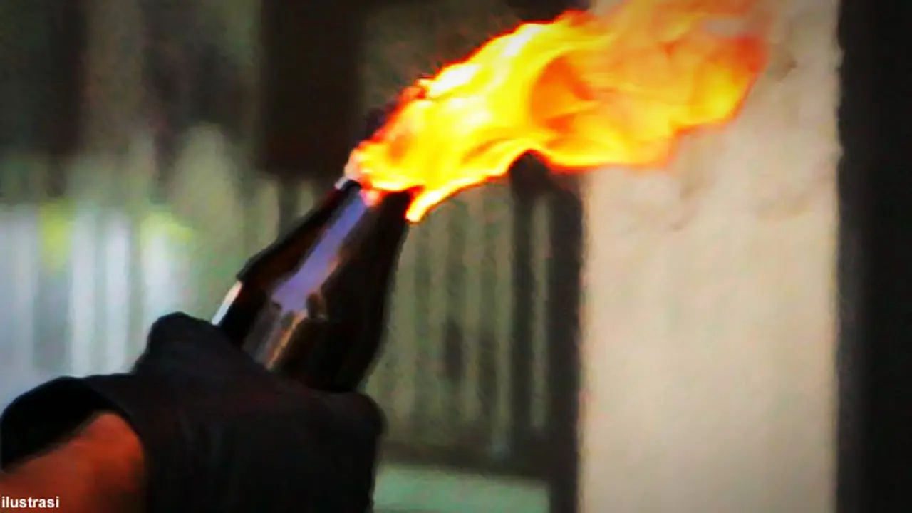 molotov-iluts130515c.jpg